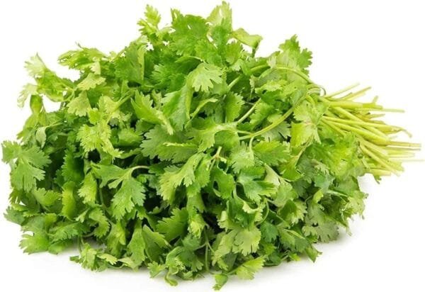 Fresh (Dhaniya) Coriander, 100 Gm - Leaves - Image 2
