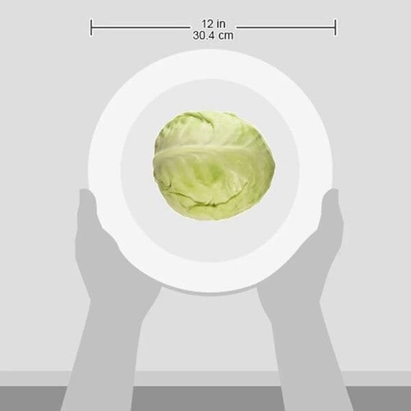 Naturally (pattagobhi) Grown Cabbage, 1 Pc - Image 6