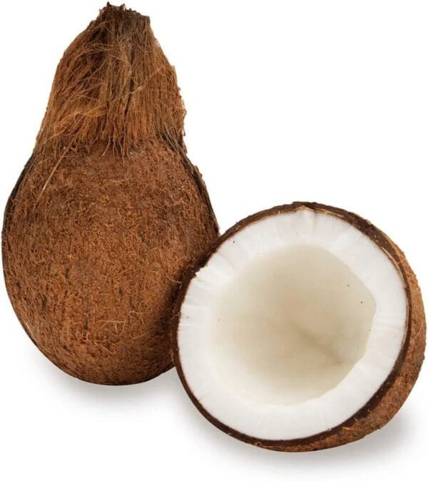 Fresh Coconut - Medium 1Pc (450-500gm) - Image 3